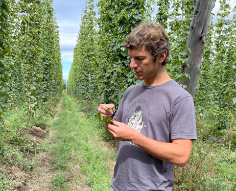 Imagen de la noticia "El lúpulo de El Bolsón llegó a Inglaterra para crear una cerveza con identidad argentina" publicada por rionegro.com.ar