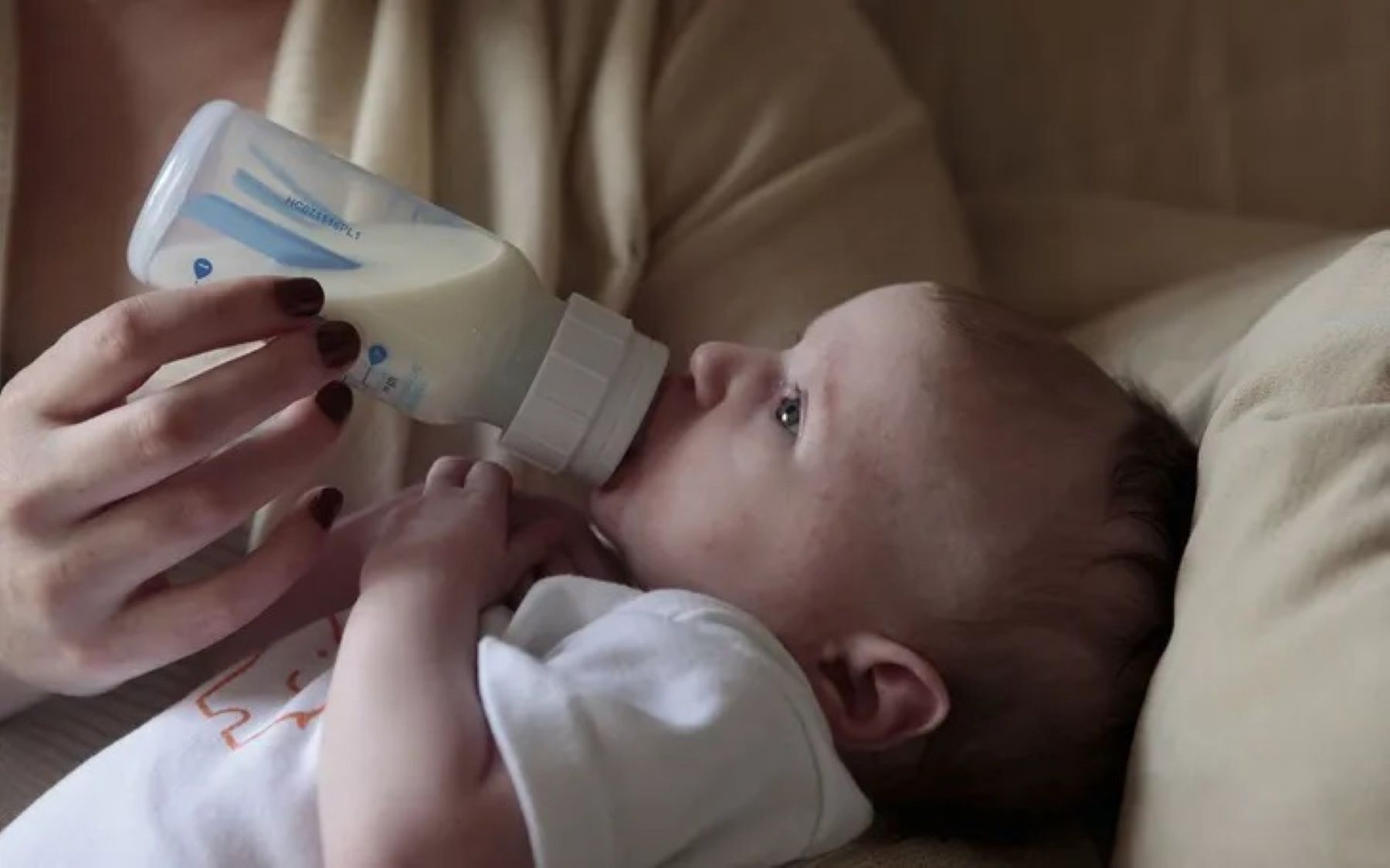 Imagen de la noticia "Complemento Leche ANSES octubre 2026: quiénes cobran $59.063 y cuál es el total por hijo" publicada por rionegro.com.ar