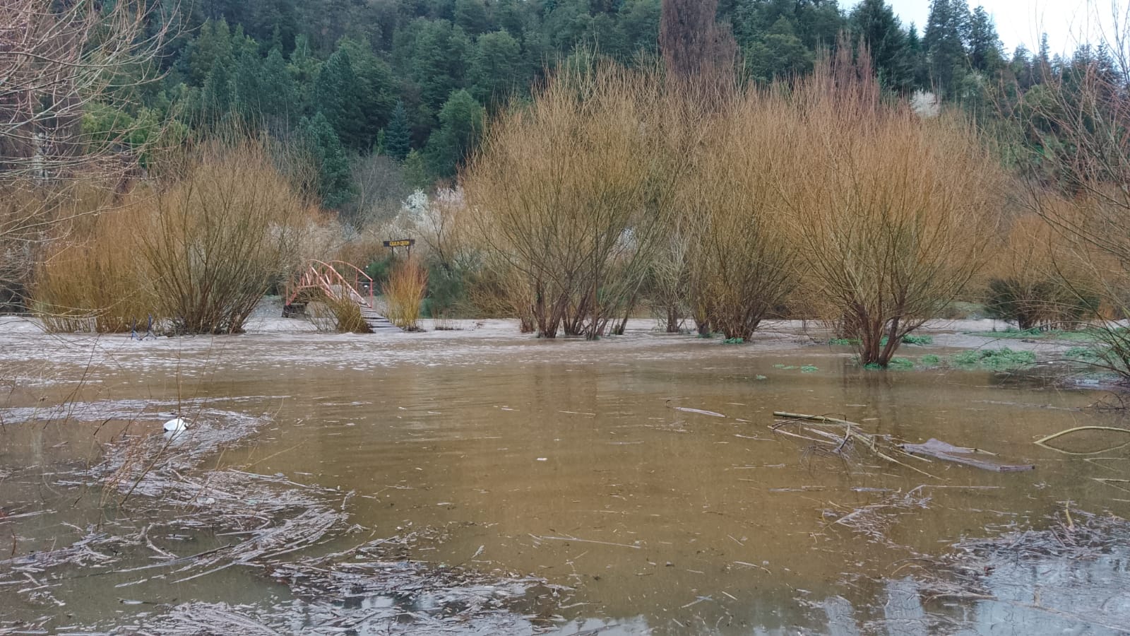 Imagen de la noticia "Cordillera de Río Negro: crecidas extraordinarias de hasta 1,5 metros en los ríos" publicada por rionegro.com.ar