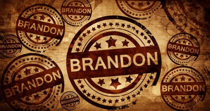 Brandon Lee's Sister Supports Editorial About Banning Guns on Set