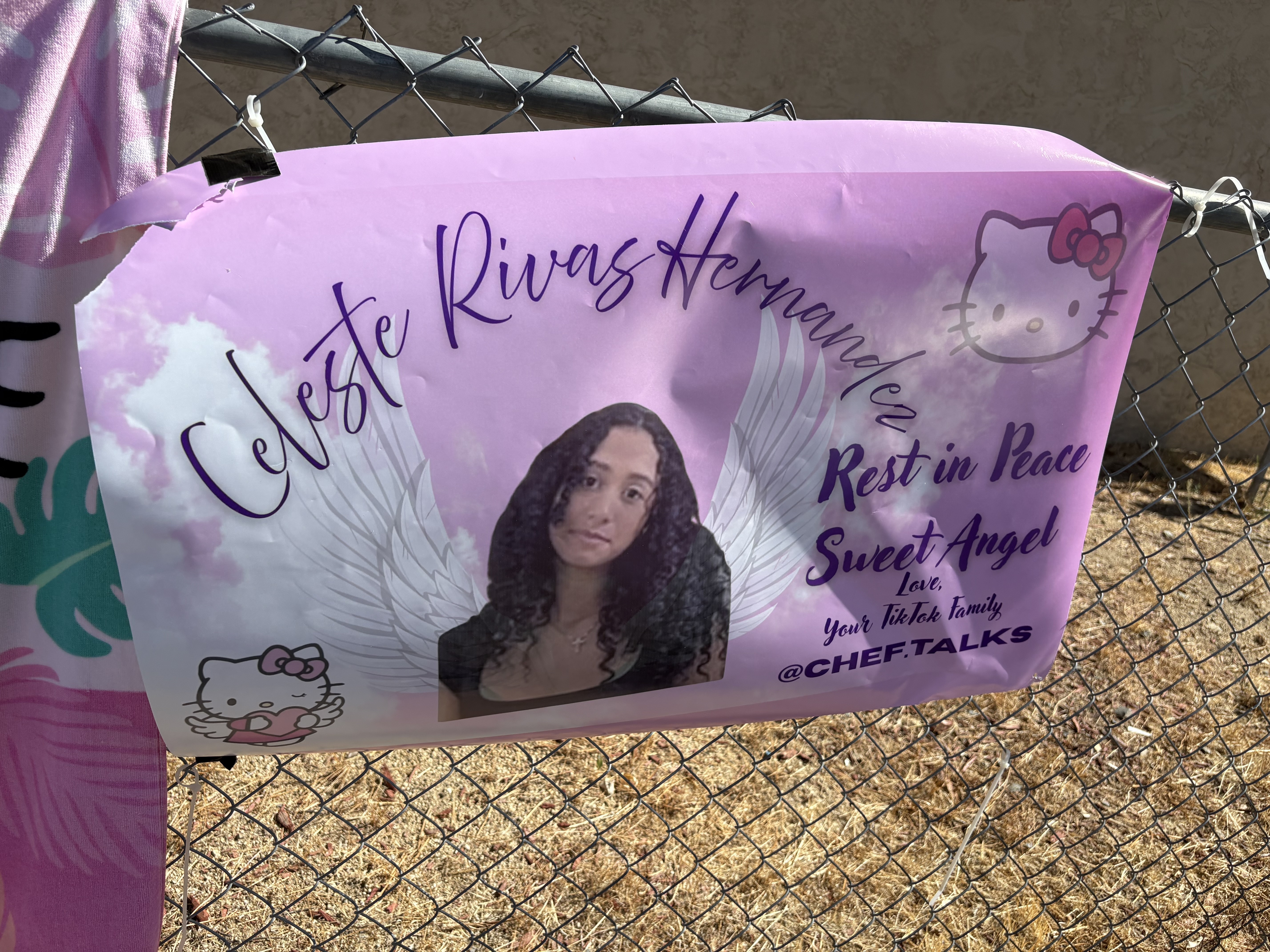 Shocking Claim: Investigators Probe Whether Celeste Rivas’ Body Was Refrigerated Prior to Tesla Move