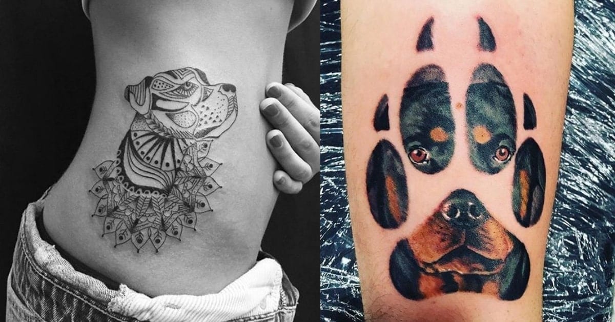 10 Cool Rottweiler Tattoos Drawn On The Bodies Of The Most Loyal Owners - Rottweiler Life 628_x_1200_jpg