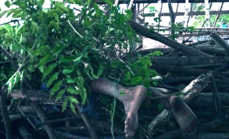 Berteduh di Bawah Pohon Asam, Satu Keluarga Tersambar Petir - Samawa Rea