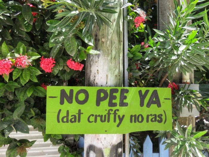What language do belize people speak