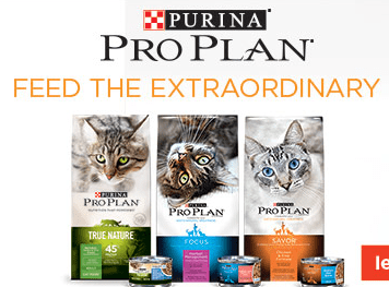pro plan $5 coupon