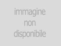 12 Giugno. Giornata Mondiale Contro Lo Sfruttamento Del Lavoro Minorile 505_x_768_jpg
