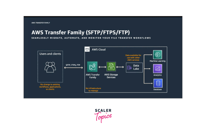 What to Look for in a Balance Transfer Credit Card How to transfer music from iphone to android phone