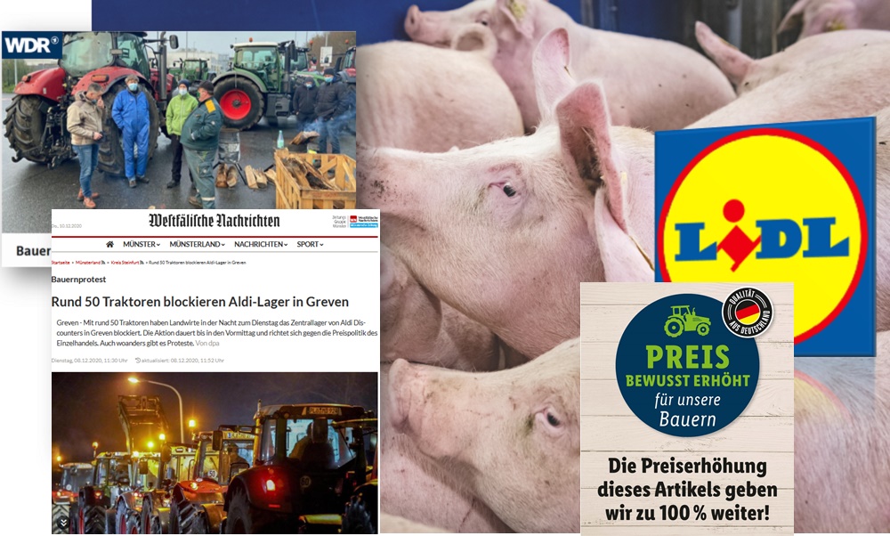 Schweine Net Isn Jetzt Gemeinsam Die Weichen Zu Auskommlichen Erlosen Fur Deutsche Tierhalter Stellen