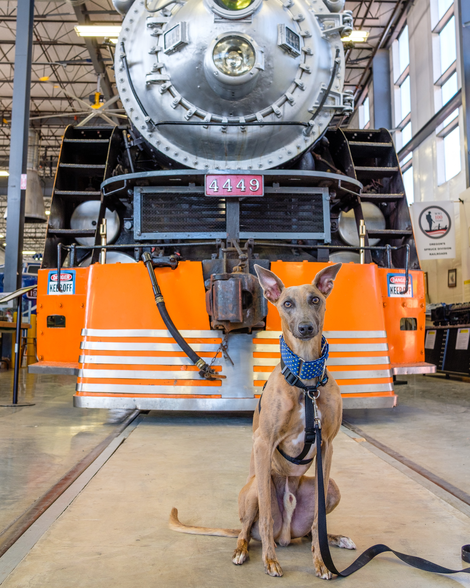 Southern Pacific 4449 - spacewhippet