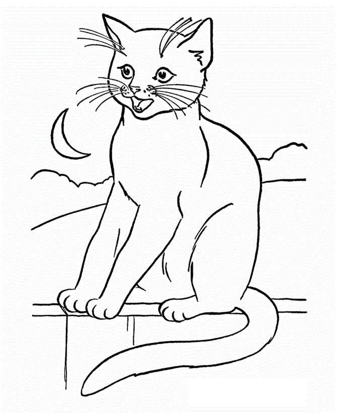 30 free printable cat coloring pages