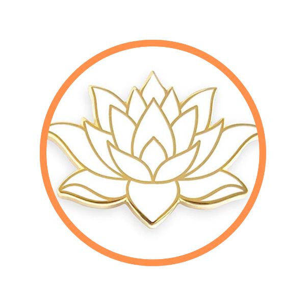 Fleur De Lotus Tous Les Secrets De La Fleur La Plus Sacree Au Monde
