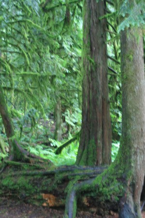 603 44 by alexandrs in fashion by alexandrs in fashion by alexandrs in fashion by alexandrs in fashion by alexandrs in fashion by alexandrs in fashion by alexandrs in fashion © 2021 autodesk, inc. Intertwined