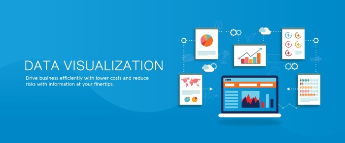 Provide professional data analysis and visualization services by ...
