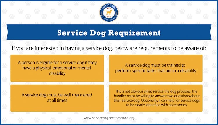 There are many details to consider, and it's normal for your mind to want to focus elsewhere while you're faced with a variety of decisions to make in a short period. Service Dog Requirements Service Dog Certifications