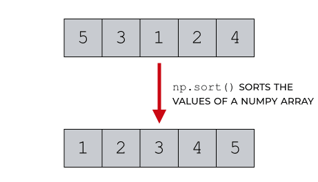 A quick guide to NumPy sort – R-Craft