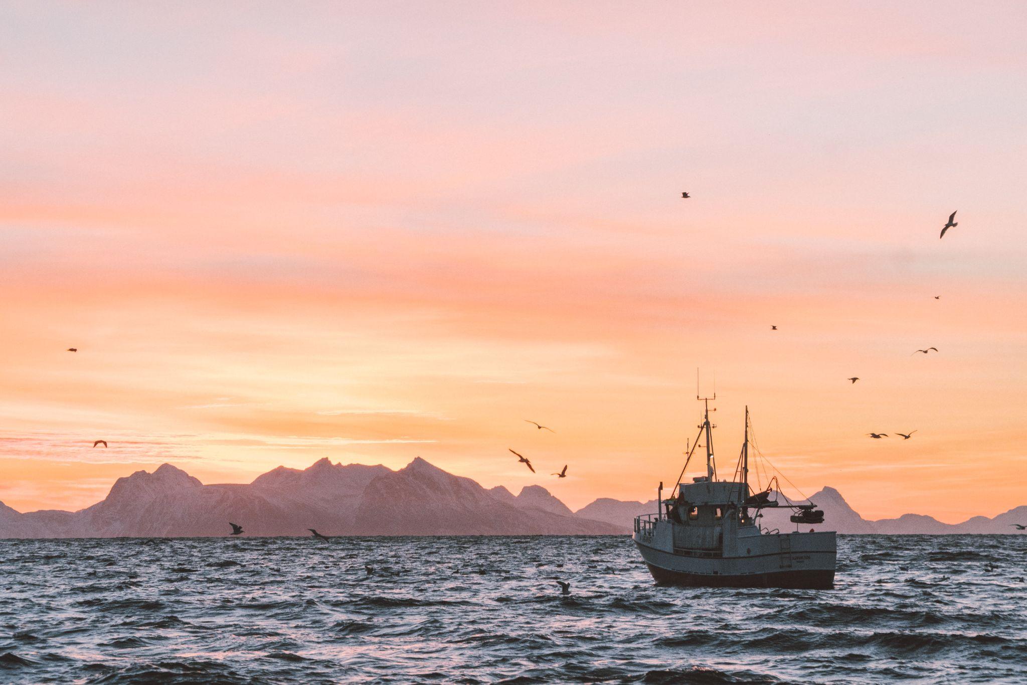 Start a fishing charter business by following these 10 steps: The Essentials In Starting Your Fishing Charter Business