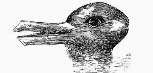 Do You See A Duck Or A Rabbit And What Does This Say About You! Shift