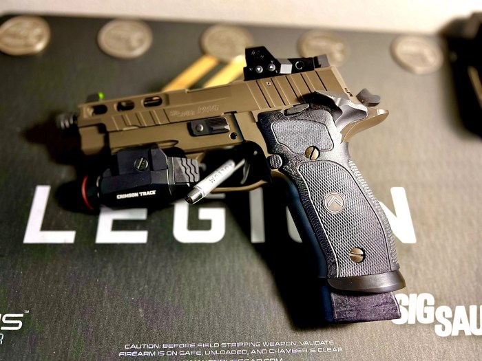 Difference between p226 and p226 legion
