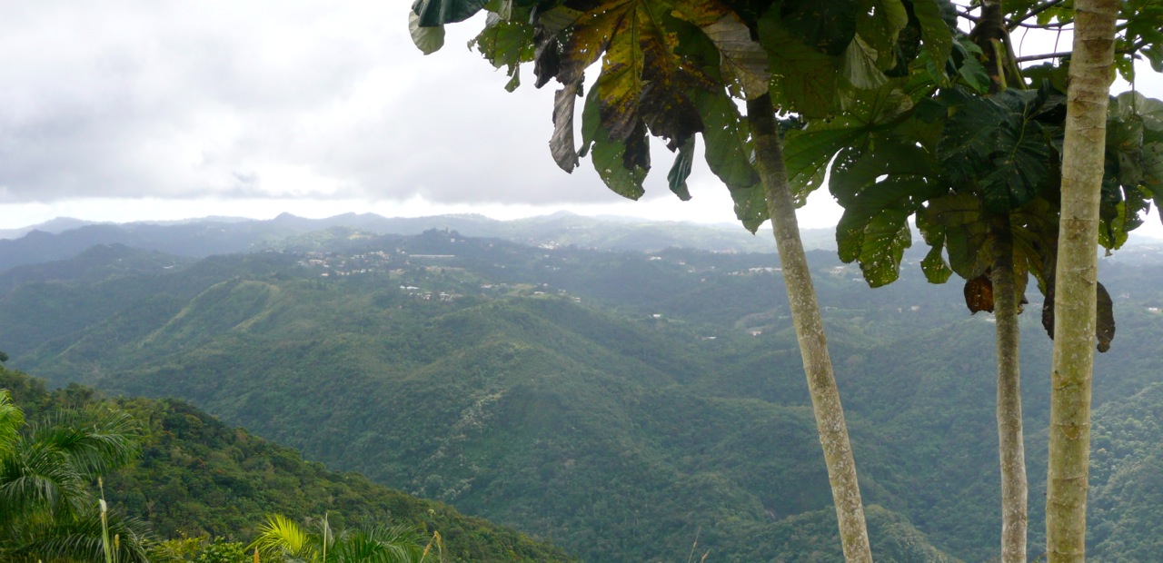 Puerto Rico Mountains Simply Norma