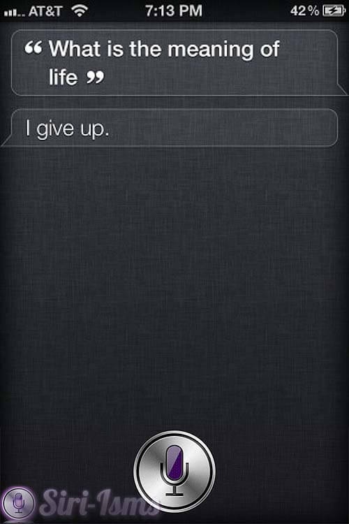 What Is The Meaning Of Life Siri Says Funny Things