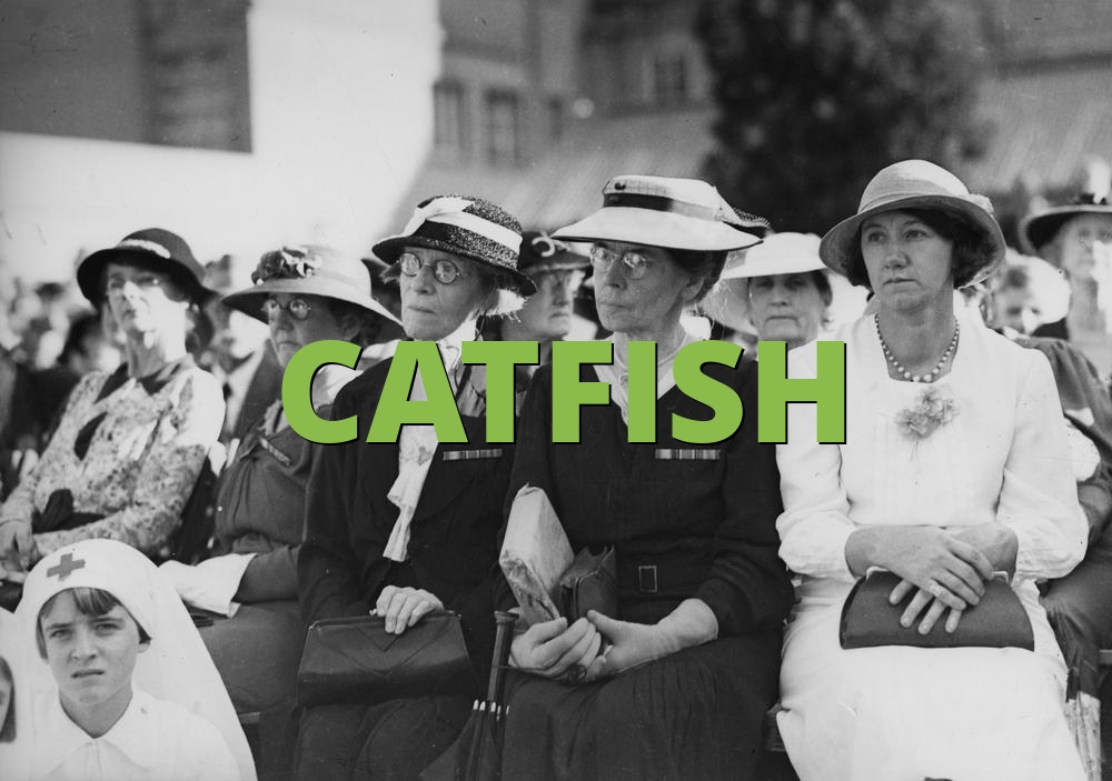 A slang term for a fake or stolen identity that is used online in the attempt to start a deceptive relationship, . Catfish What Does Catfish Mean Slang Org