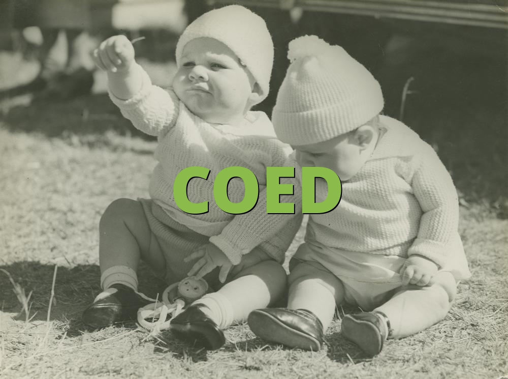 What Does Coed Mean In Slang Mastery Wiki