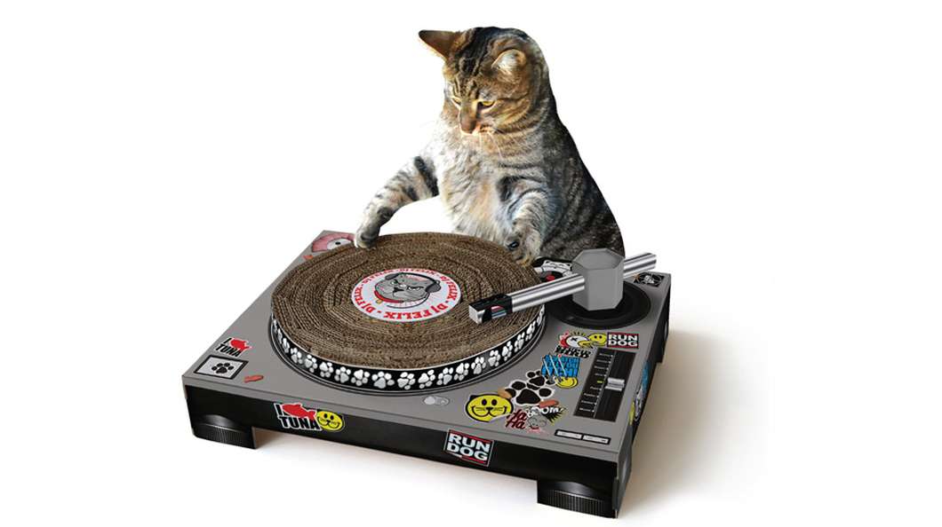 5 lustige Gadgets für Katzen SLEAZEMAG