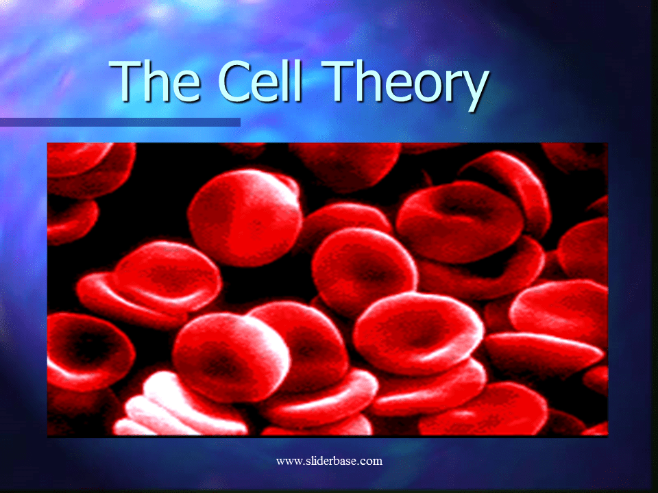 The do's of writing a spectacular cover letter. The Cell Theory - Presentation Cell biology