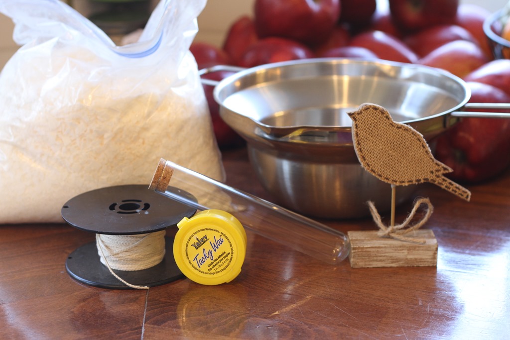 Test Tube Candle Dollar Bin Challenge