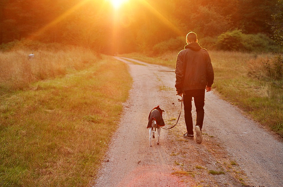 11 Health Benefits of Owning a Dog The Smart Dog Guide
