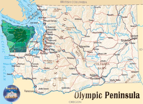 Iv auto is a national purchasing contractor not an auction contractor. Olympic Peninsula population 378,000 Area Km2 5,522,639