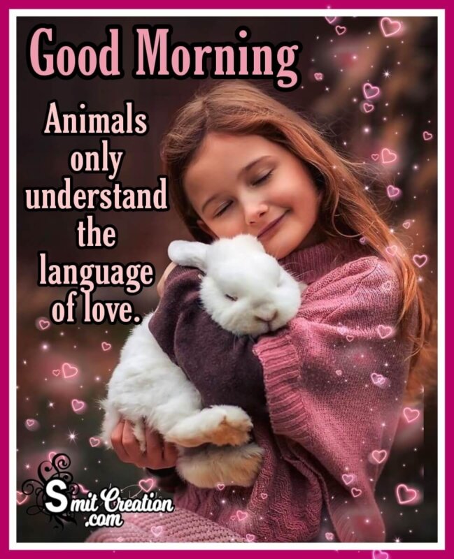 Read about the different types of animals at howstuffworks. Inspirational Good Morning Animal Quotes Images Smitcreation Com