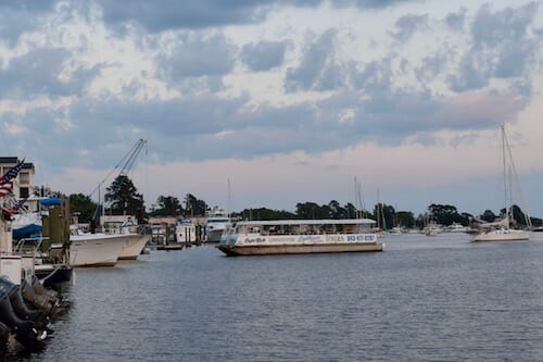 A lighthouse, eagles, dolphins, maybe even a turtle. Visiting Dog Friendly Georgetown In South Carolina