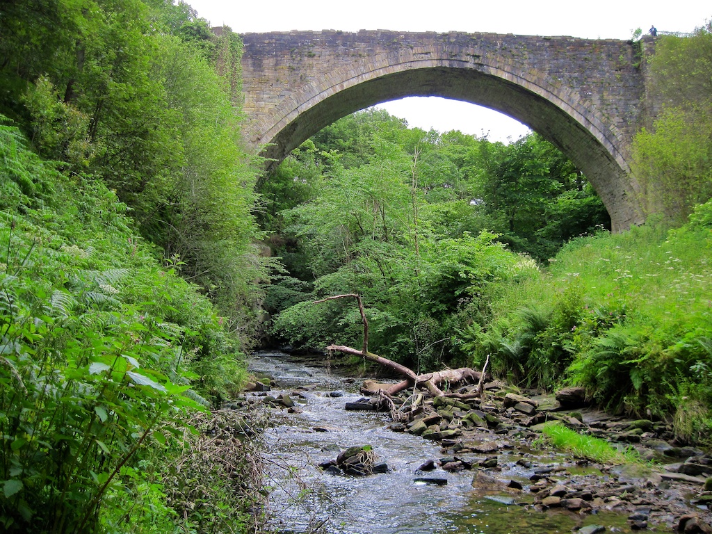 tren en Causey Arch Woods