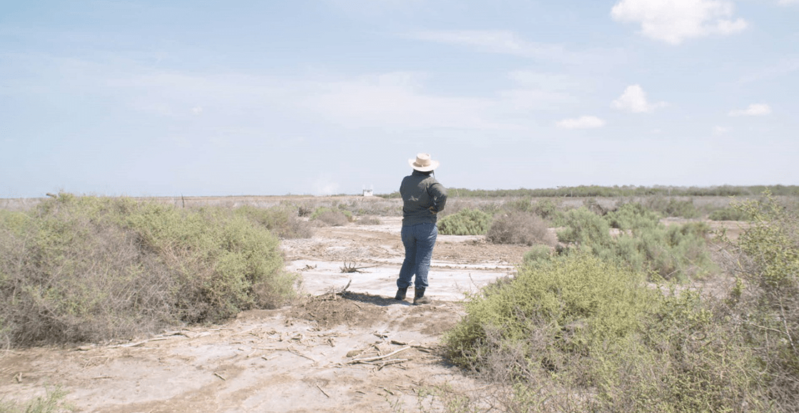 'Te nombré en el silencio', el documental sobre las madres rastreadoras que caminan sobre muertos