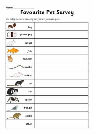 data handling surveys primary teaching resources and printables