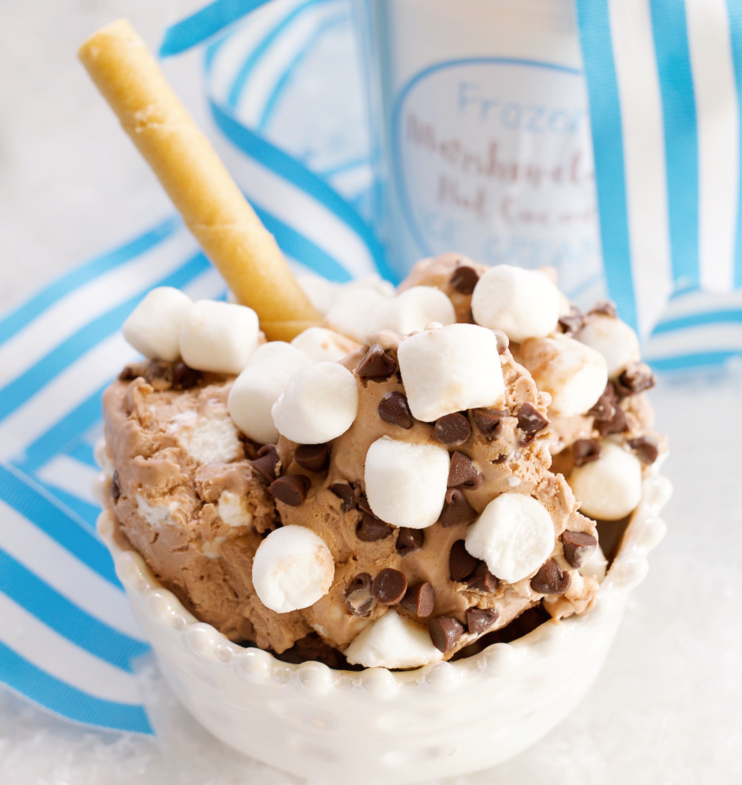 Frozen Marshmallow Hot Cocoa Ice Cream (Easy! No Churn! Free Printables!) Sparkling Charm