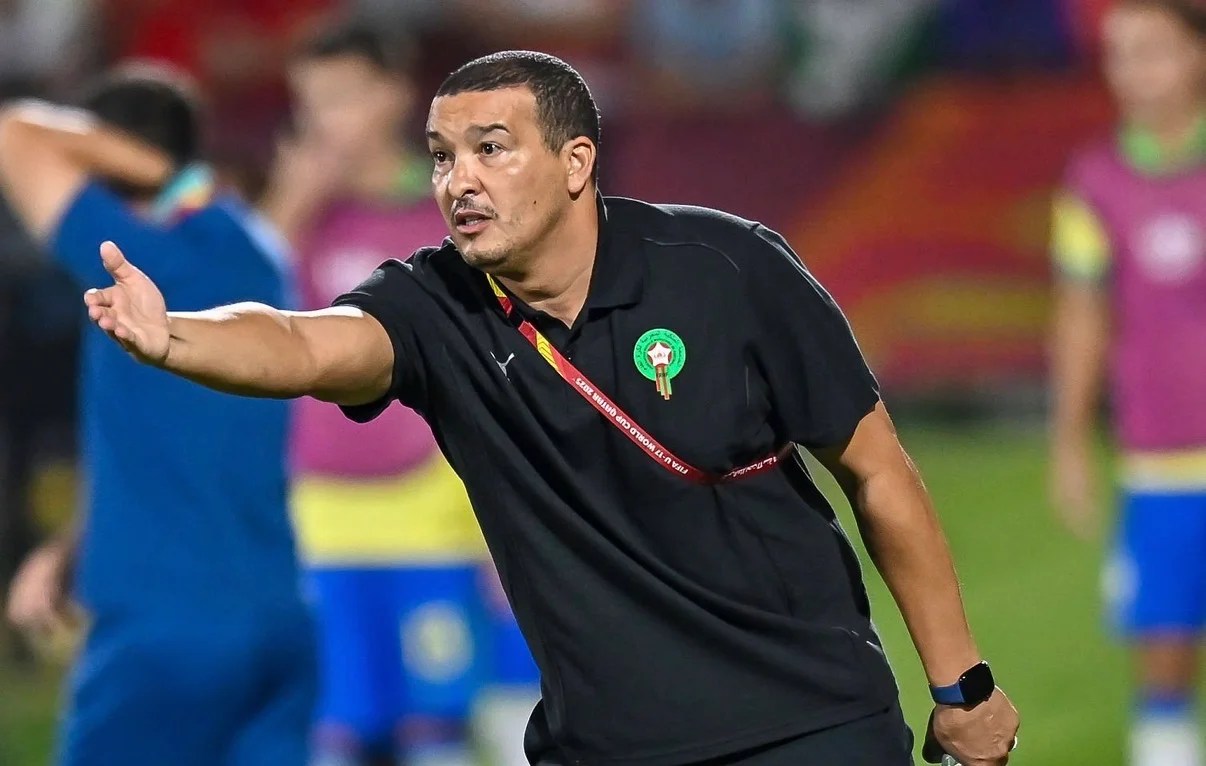 نبيل باها مرشح لتدريب أحد أندية البطولة الإحترافية نبيل باها مرشح لتدريب أحد أندية البطولة الإحترافية