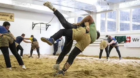 The way that you get a signal is by using the antenna. Srf Sport Live Stream Schwingen Fletcher Lynwood