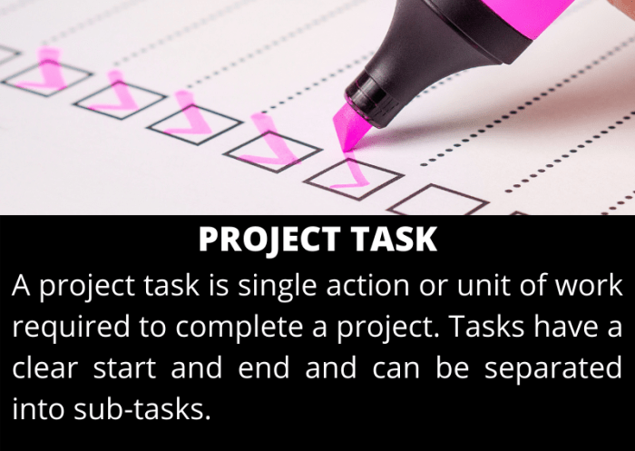 What does Task mean? Project Management Dictionary of Terms What is a task host window