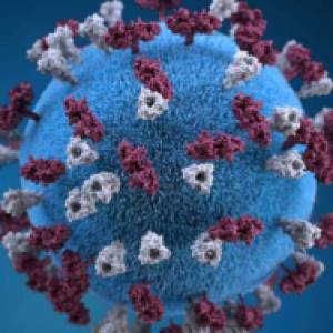 Hawaii Health Officials Issue Measles Alert After Virus Detected in Wastewater Hawaii Health Officials Issue Measles Alert After Virus Detected in Wastewater