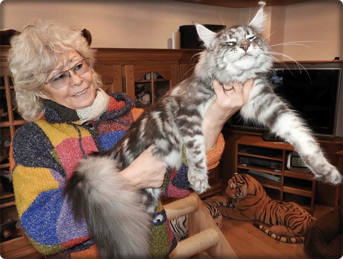 Lass sie einschläfern damit sie sich nicht weiter quält. Starbushway.de -Maine Coon Zucht-