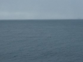 img_3263