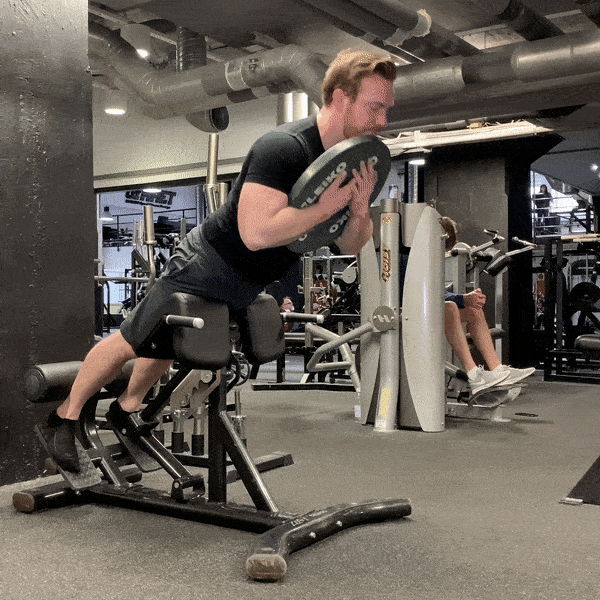 How To Train Your Back Muscles Exercises Workout Strengthlog How To Train Your Back Muscles Exercises Workout Strengthlog