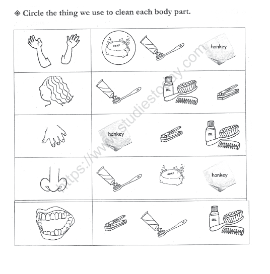 cbse class 1 evs clean body parts worksheet set a practice worksheet