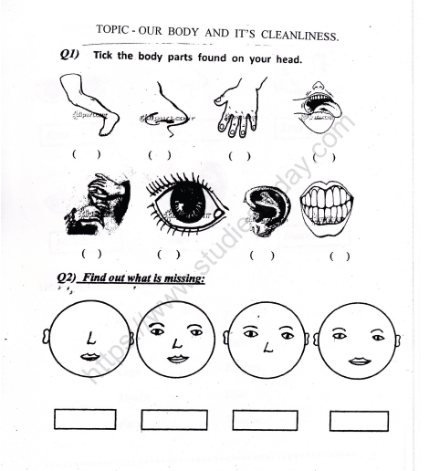 cbse class 1 evs our body and cleanliness worksheet set b practice worksheet for environmental studies