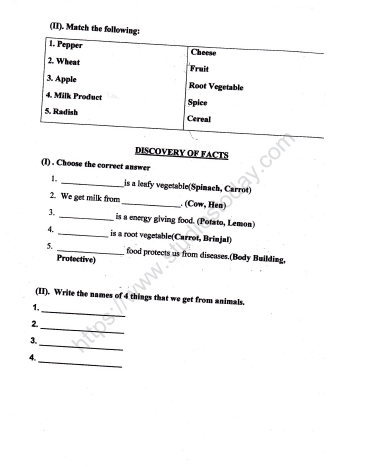 cbse class 2 evs practice our food worksheet set b practice worksheet