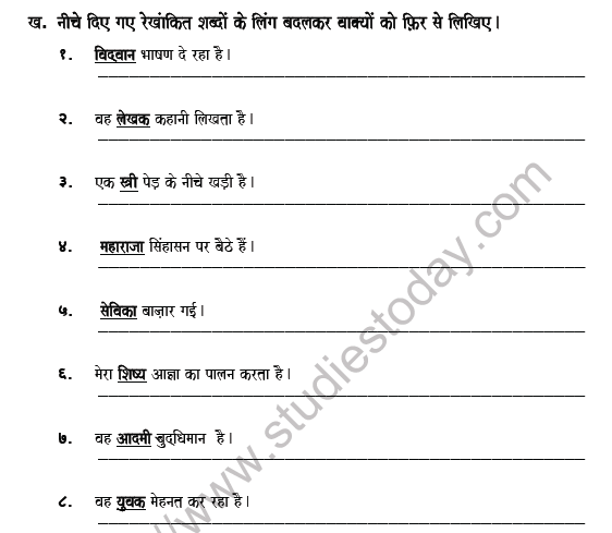 cbse class 5 hindi gender worksheet set b