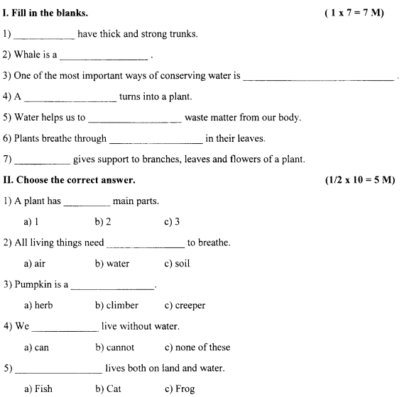 cbse class 3 evs sample paper set m