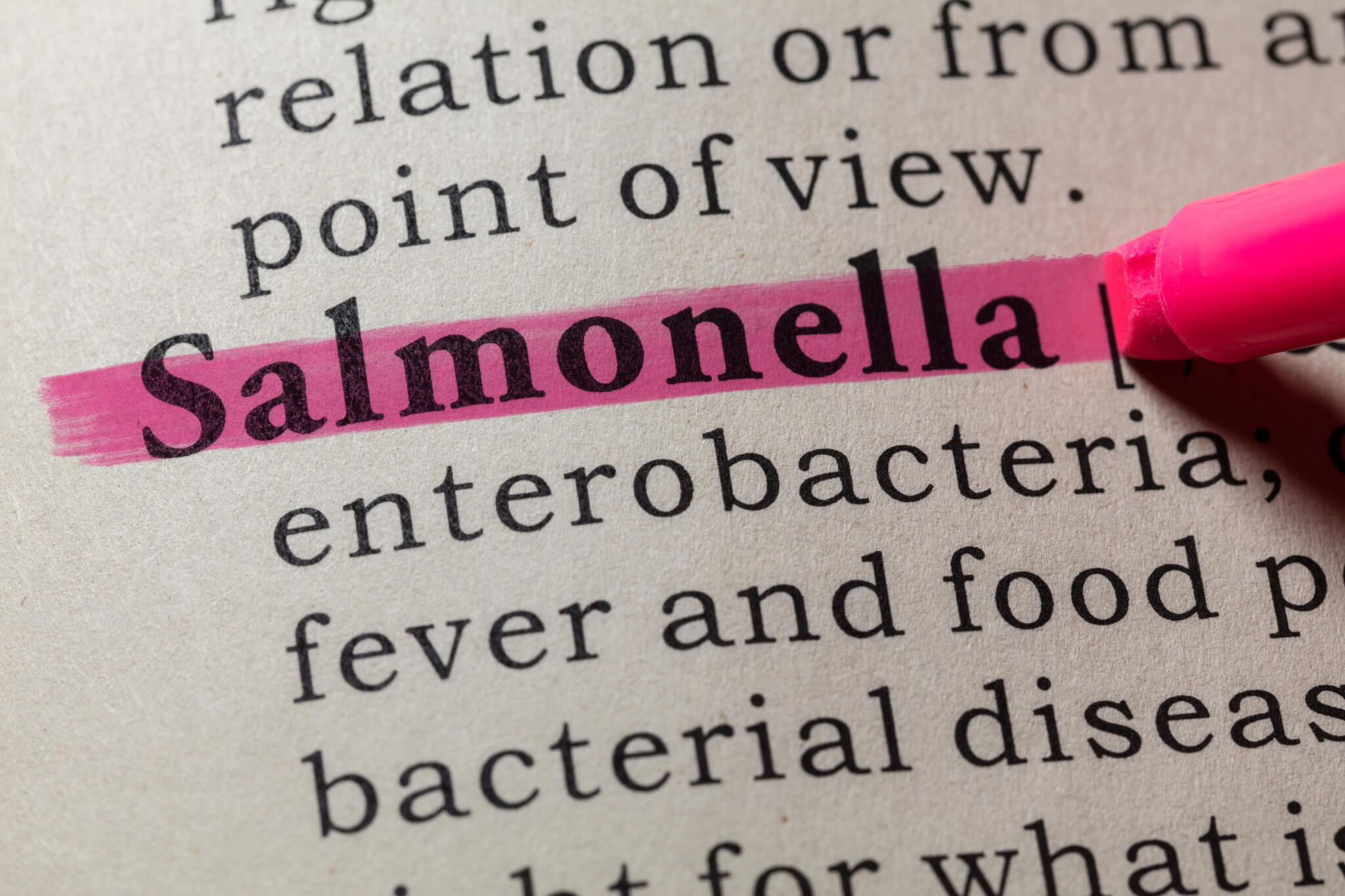 definition of Salmonella Study Finds
